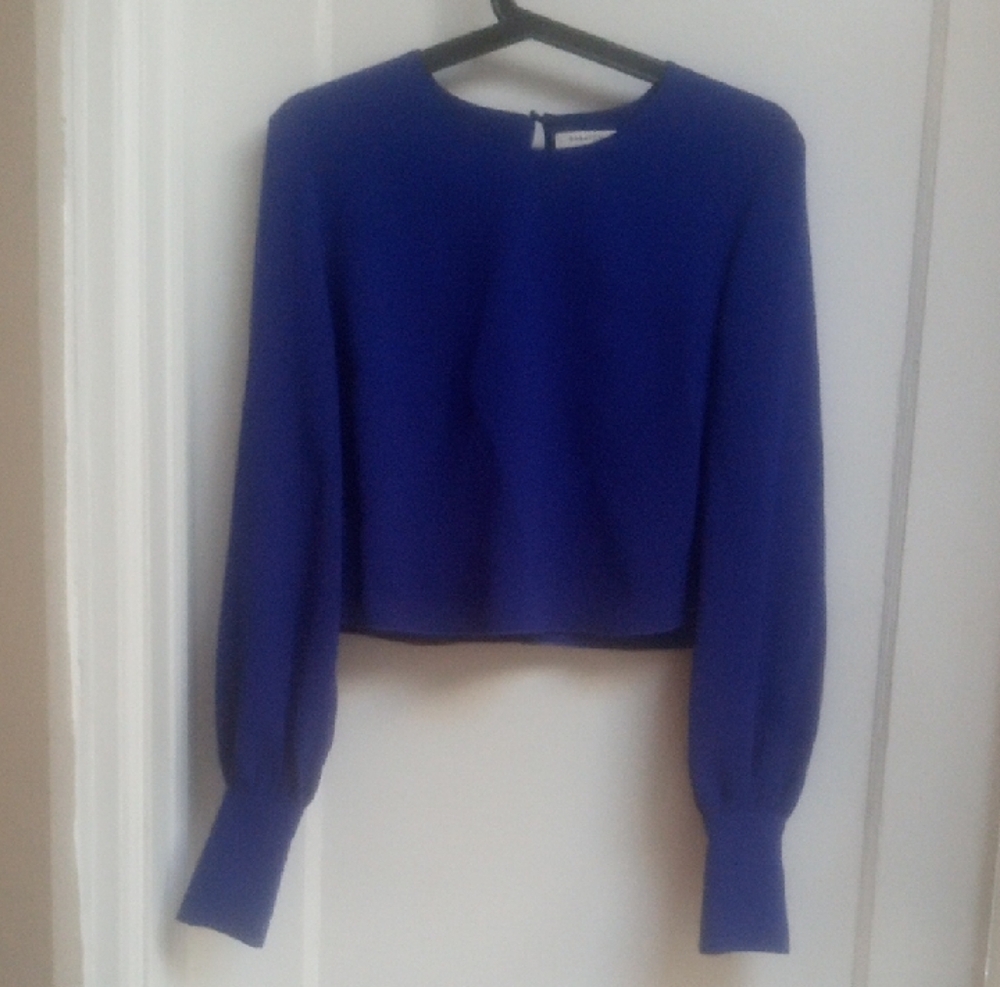 Mint Condition Babaton Royal Blue Blouse